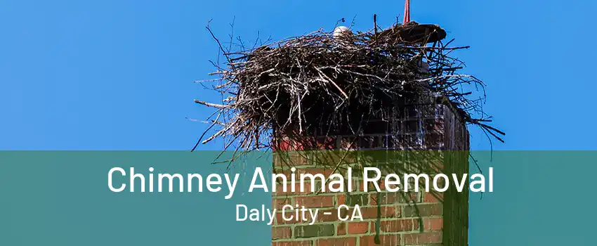 Chimney Animal Removal Daly City - CA