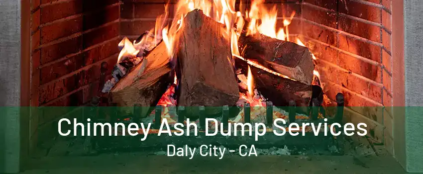 Chimney Ash Dump Services Daly City - CA